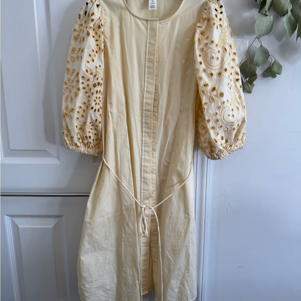 Cream Puff Sleeve Dress with Embroidered Details